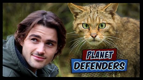 Planet Defenders.jpg